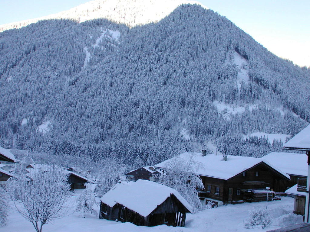 Aparthotel Bannwald 2*